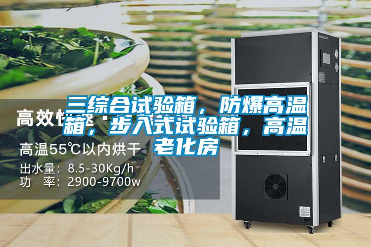 三綜合試驗箱，防爆高溫箱，步入式試驗箱，高溫老化房
