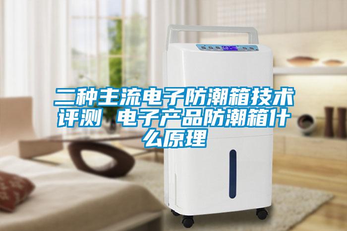 二種主流電子防潮箱技術評測 電子產(chǎn)品防潮箱什么原理