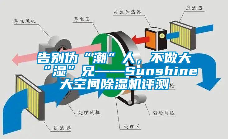 告別偽“潮”人，不做大“濕”兄——Sunshine大空間除濕機(jī)評(píng)測(cè)