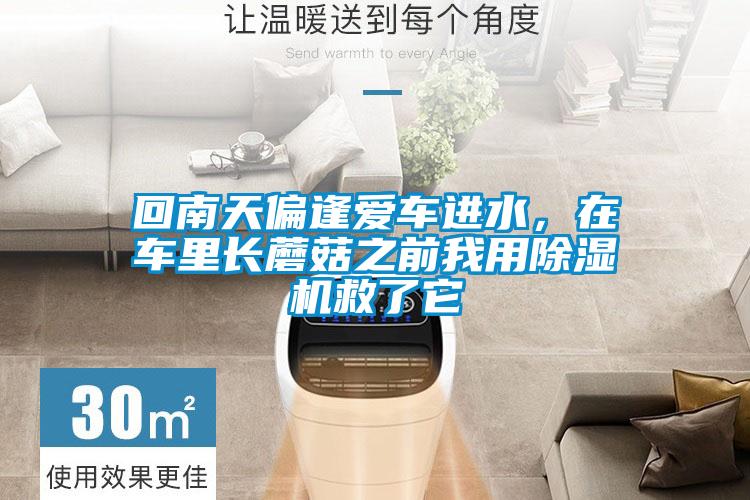 回南天偏逢愛車進(jìn)水,在車?yán)镩L蘑菇之前我用除濕機(jī)救了它