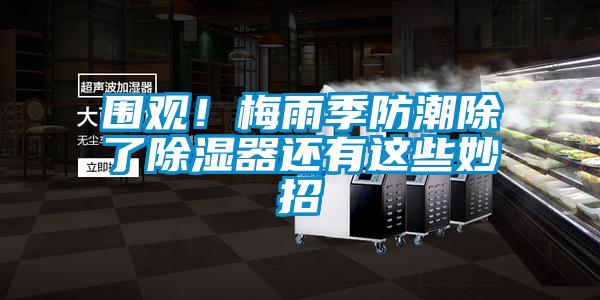 圍觀！梅雨季防潮除了除濕器還有這些妙招