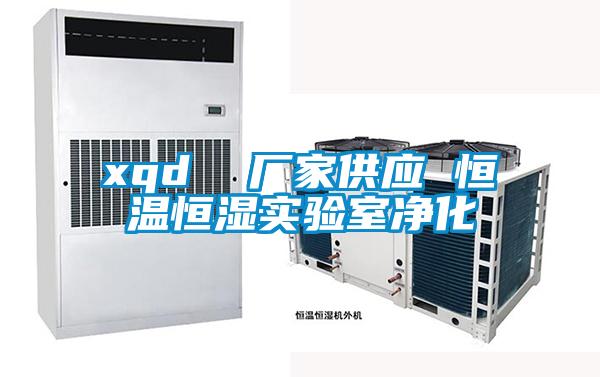 xqd 廠家供應(yīng) 恒溫恒濕實驗室凈化