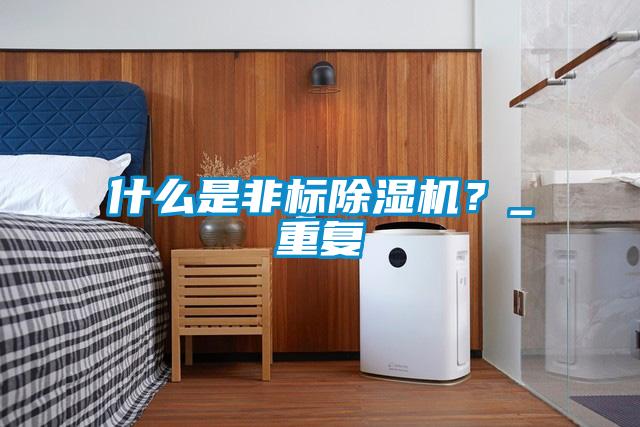 什么是非標(biāo)除濕機(jī)？_重復(fù)