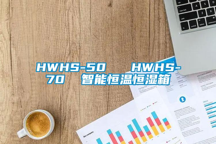 HWHS-50 HWHS-70 智能恒溫恒濕箱
