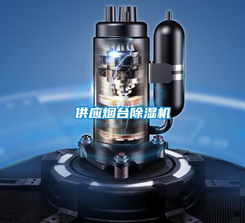 供應(yīng)煙臺除濕機(jī)