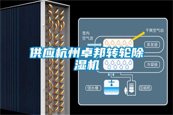 供應杭州卓邦轉(zhuǎn)輪除濕機