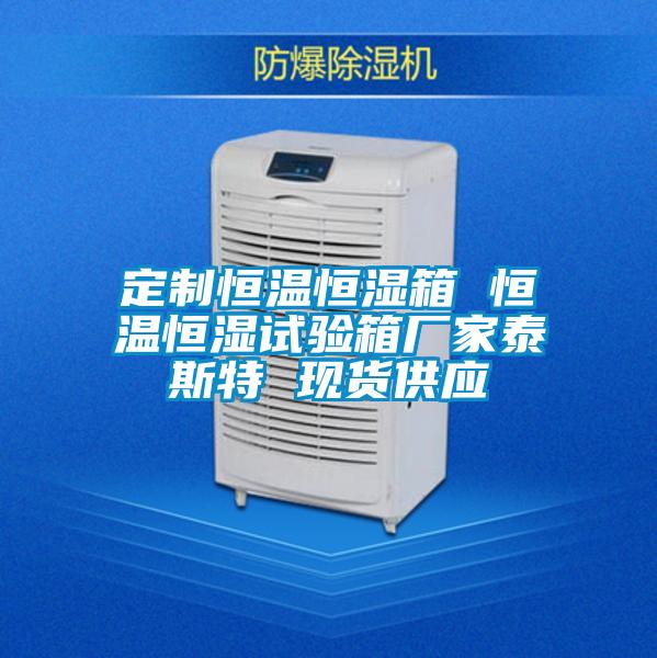 定制恒溫恒濕箱 恒溫恒濕試驗(yàn)箱廠家泰斯特 現(xiàn)貨供應(yīng)