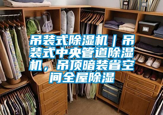 吊裝式除濕機(jī)｜吊裝式中央管道除濕機(jī)，吊頂暗裝省空間全屋除濕