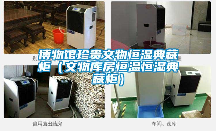 博物館珍貴文物恒濕典藏柜(文物庫(kù)房恒溫恒濕典藏柜)