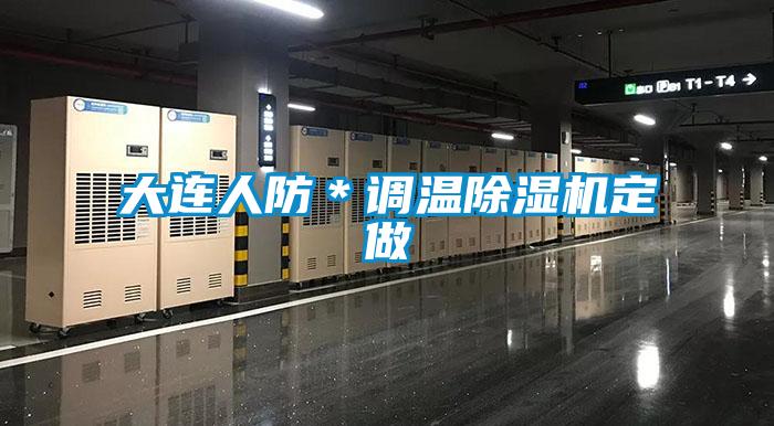大連人防*調(diào)溫除濕機(jī)定做