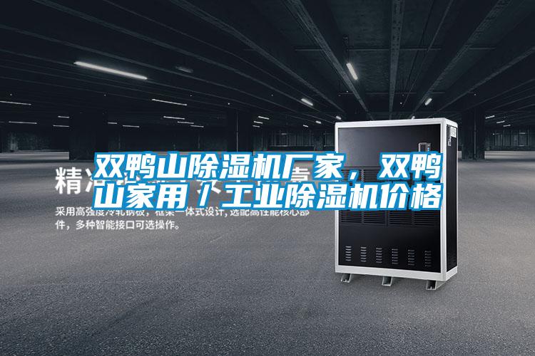 雙鴨山除濕機廠家，雙鴨山家用／工業(yè)除濕機價格