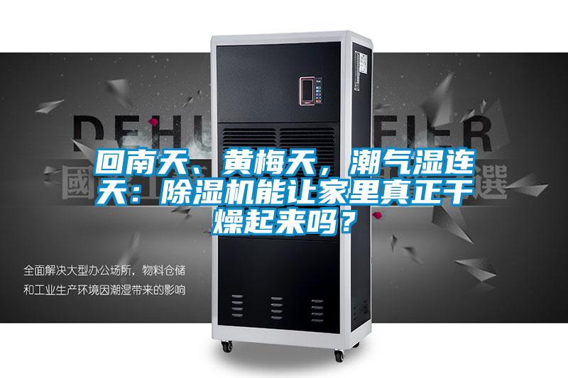 回南天、黃梅天，潮氣濕連天：除濕機(jī)能讓家里真正干燥起來嗎？