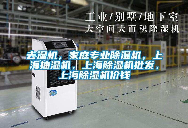 去濕機，家庭專業(yè)除濕機，上海抽濕機，上海除濕機批發(fā)，上海除濕機價錢