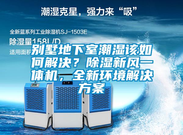 別墅地下室潮濕該如何解決？除濕新風(fēng)一體機(jī)，全新環(huán)境解決方案