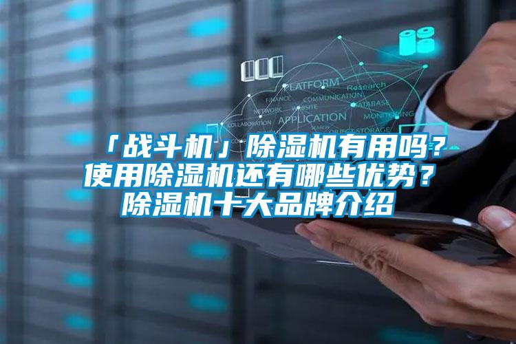 「戰(zhàn)斗機(jī)」除濕機(jī)有用嗎？使用除濕機(jī)還有哪些優(yōu)勢(shì)？除濕機(jī)十大品牌介紹