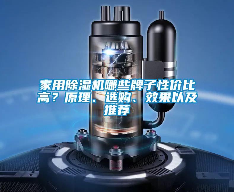 家用除濕機(jī)哪些牌子性價比高？原理、選購、效果以及推薦