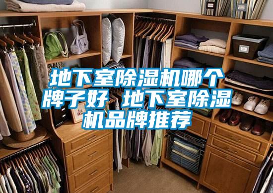 地下室除濕機(jī)哪個牌子好 地下室除濕機(jī)品牌推薦