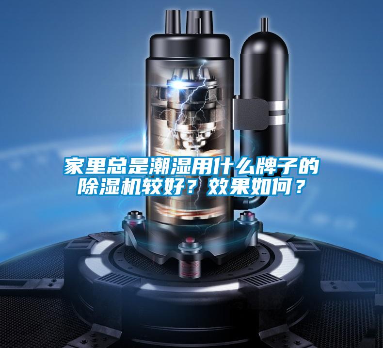 家里總是潮濕用什么牌子的除濕機較好？效果如何？