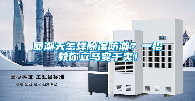 回潮天怎樣除濕防潮？一招教你立馬變干爽！