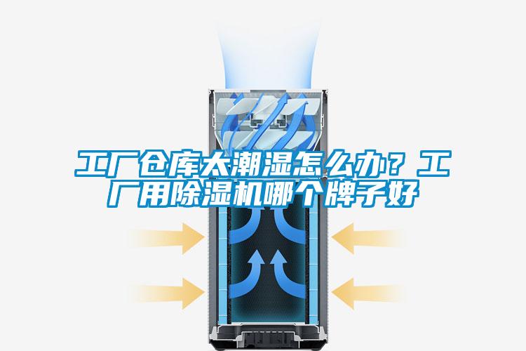 工廠倉庫太潮濕怎么辦？工廠用除濕機哪個牌子好