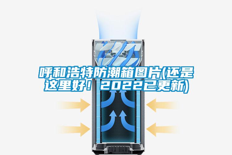 呼和浩特防潮箱圖片(還是這里好！2022已更新)