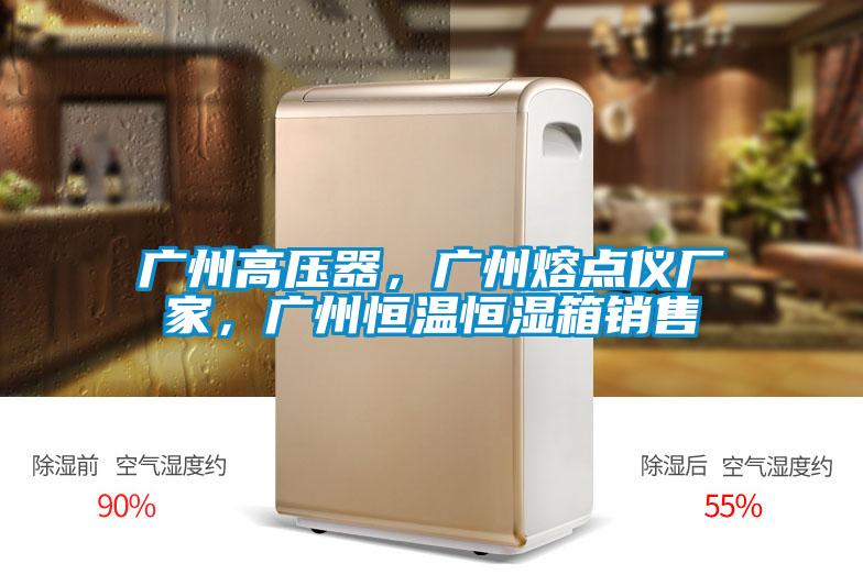 廣州高壓器，廣州熔點(diǎn)儀廠家，廣州恒溫恒濕箱銷售