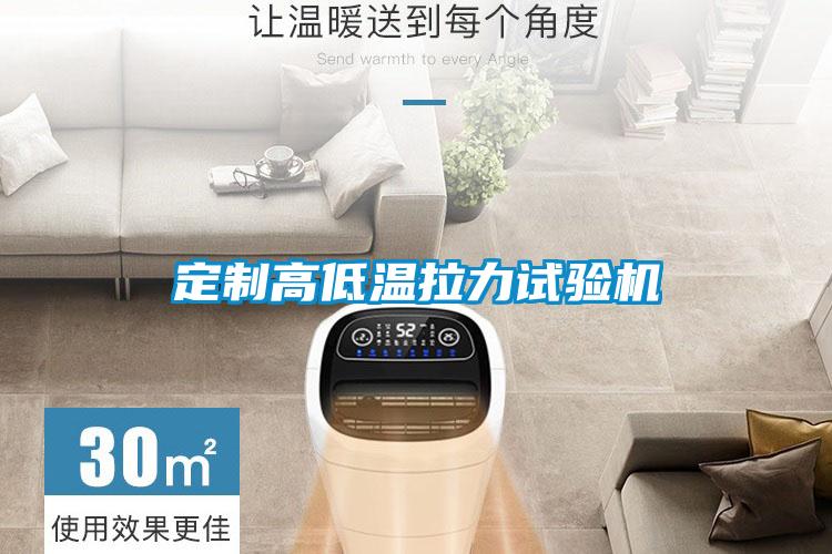 定制高低溫拉力試驗(yàn)機(jī)