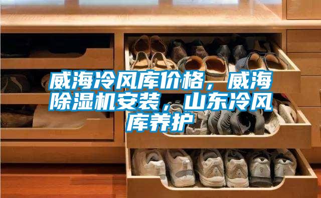 威海冷風(fēng)庫價格，威海除濕機(jī)安裝，山東冷風(fēng)庫養(yǎng)護(hù)