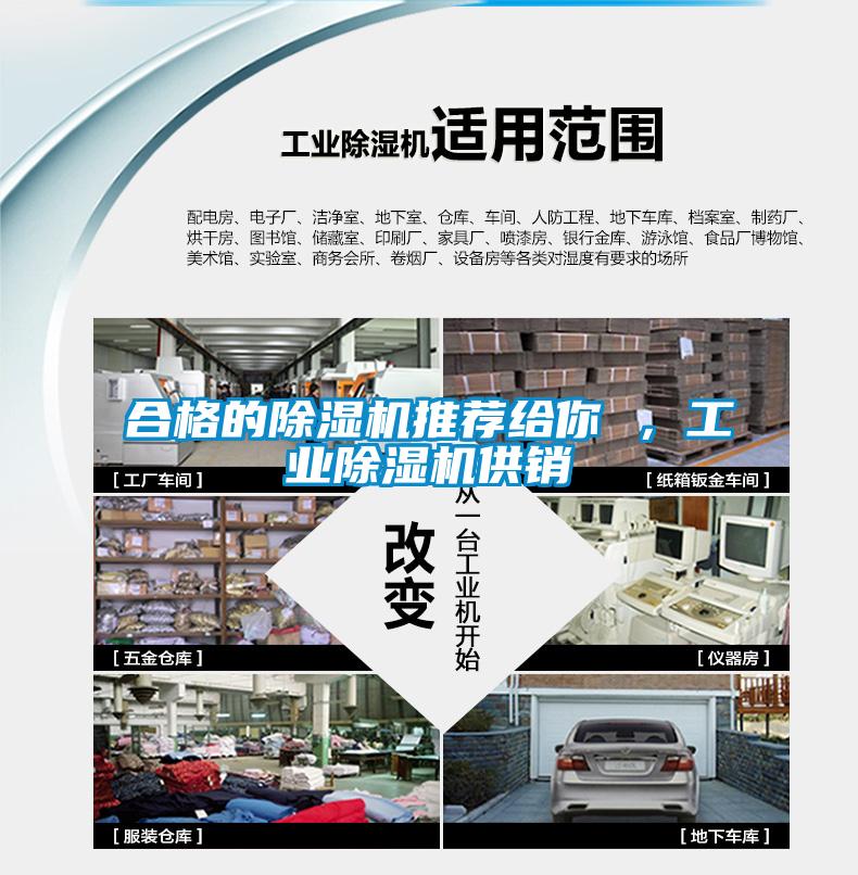 合格的除濕機推薦給你 ，工業(yè)除濕機供銷