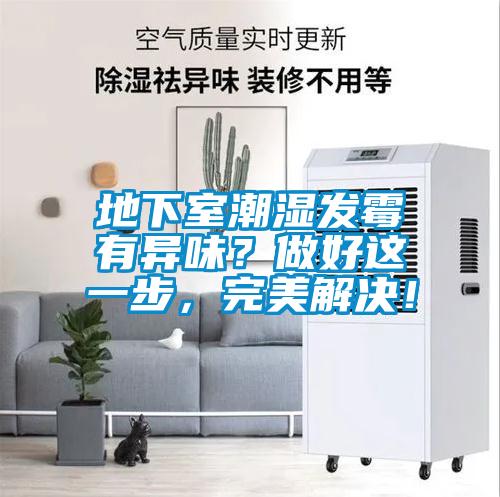 地下室潮濕發(fā)霉有異味？做好這一步，完美解決！