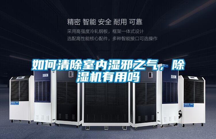 如何清除室內(nèi)濕邪之氣，除濕機有用嗎