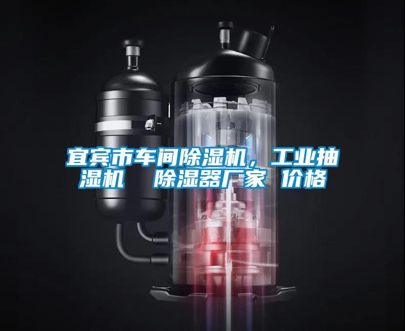 宜賓市車間除濕機(jī)，工業(yè)抽濕機(jī)  除濕器廠家 價(jià)格