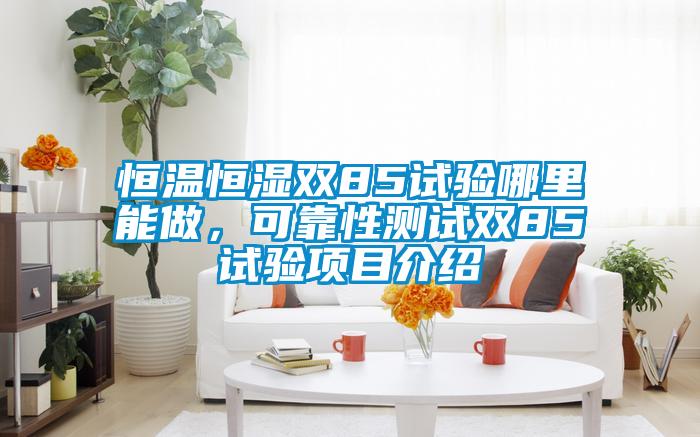 恒溫恒濕雙85試驗(yàn)?zāi)睦锬茏?，可靠性測(cè)試雙85試驗(yàn)項(xiàng)目介紹