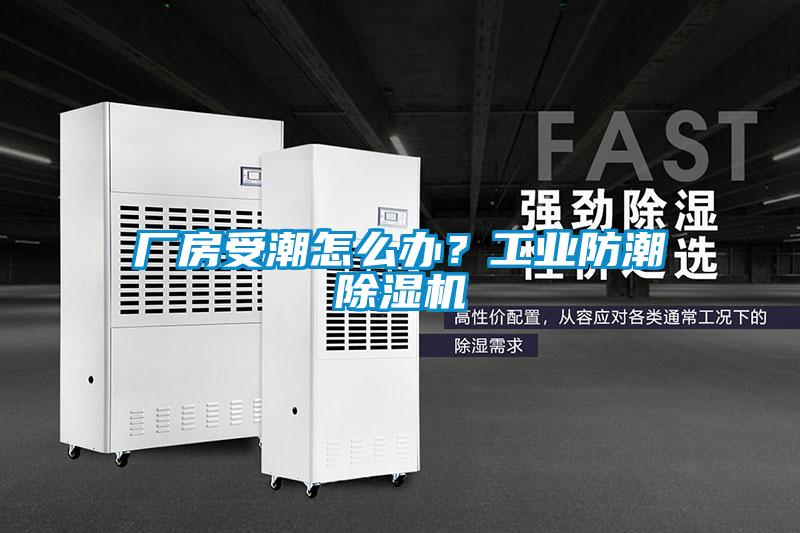 廠房受潮怎么辦？工業(yè)防潮除濕機(jī)