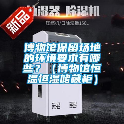 博物館保留場地的環(huán)境要求有哪些？（博物館恒溫恒濕儲藏柜）