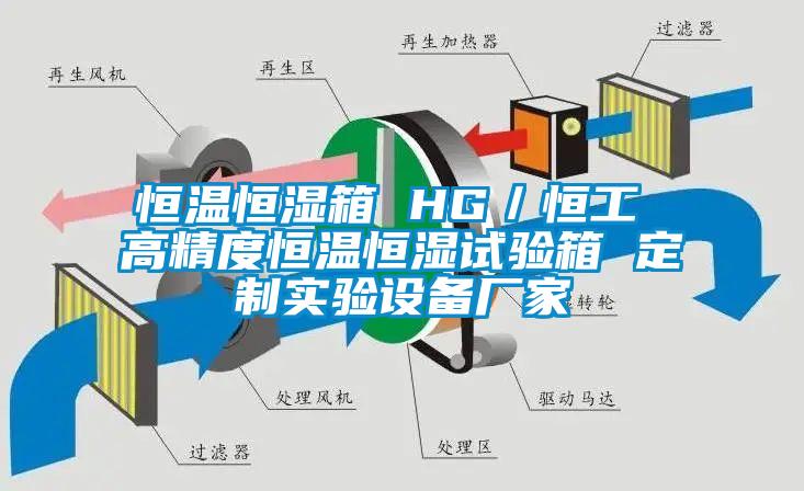 恒溫恒濕箱 HG/恒工 高精度恒溫恒濕試驗箱 定制實驗設(shè)備廠家
