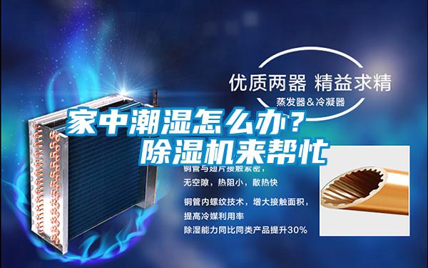 家中潮濕怎么辦？    除濕機來幫忙