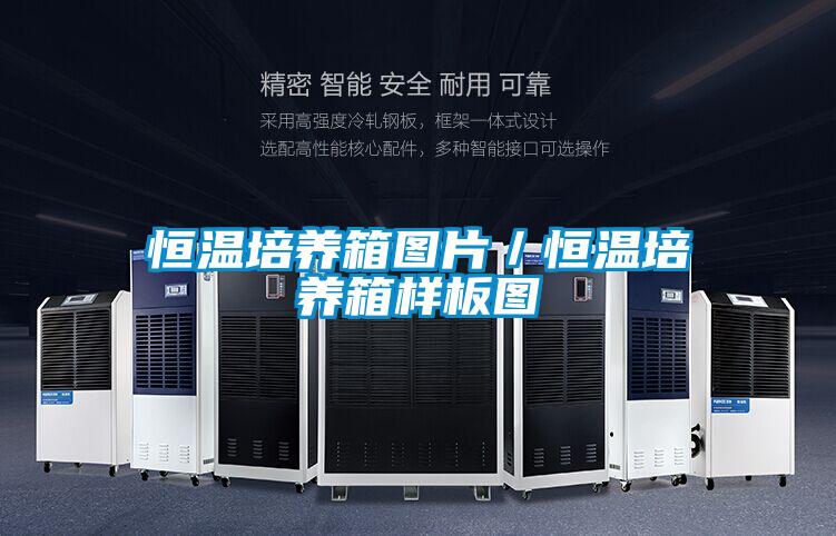 恒溫培養(yǎng)箱圖片/恒溫培養(yǎng)箱樣板圖