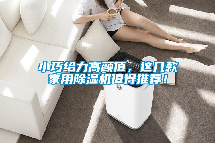 小巧給力高顏值，這幾款家用除濕機值得推薦！