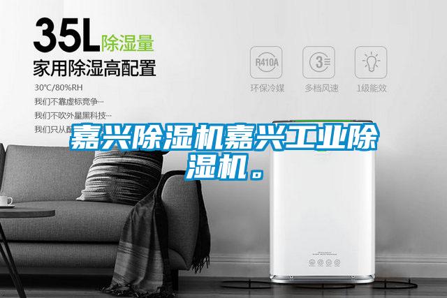 嘉興除濕機(jī)嘉興工業(yè)除濕機(jī)。