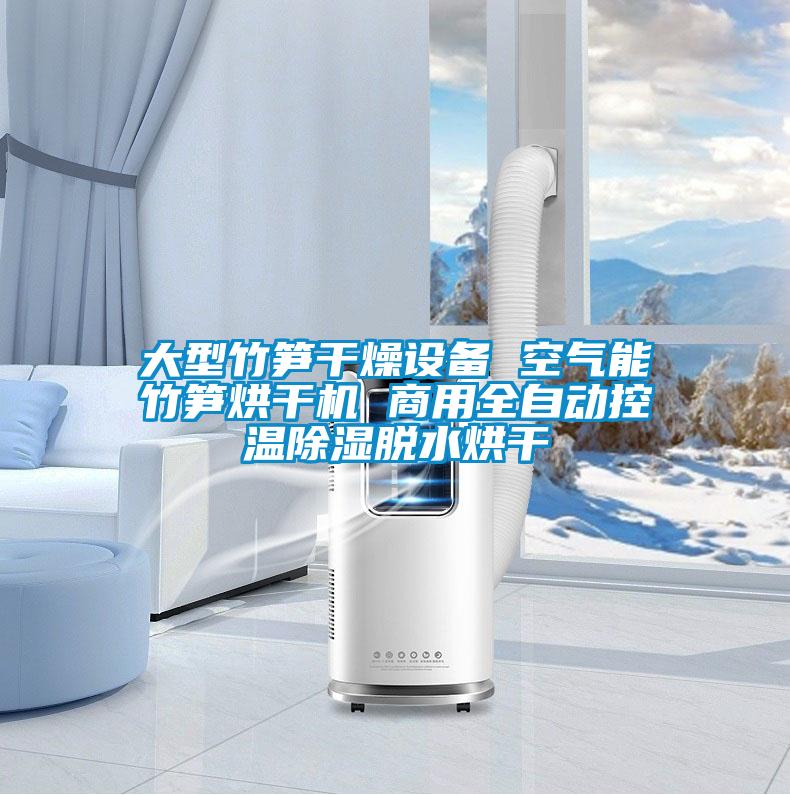 大型竹筍干燥設(shè)備 空氣能竹筍烘干機 商用全自動控溫除濕脫水烘干