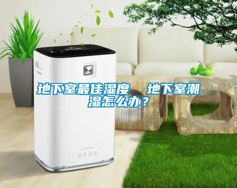 地下室最佳濕度  地下室潮濕怎么辦？