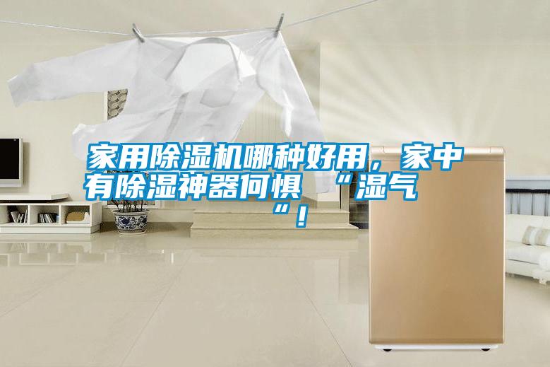 家用除濕機哪種好用，家中有除濕神器何懼 “濕氣 “！