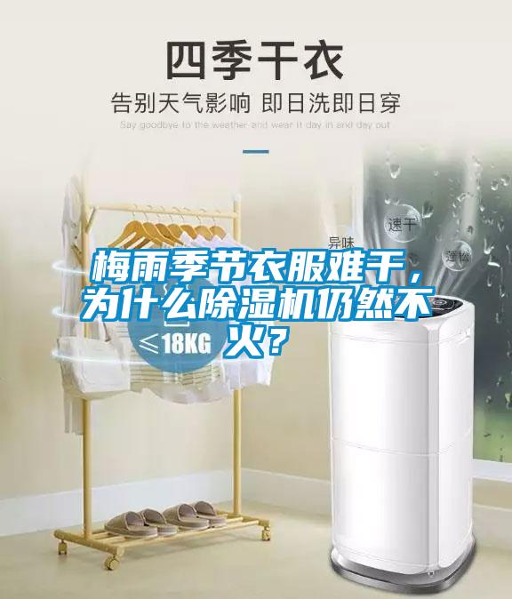 梅雨季節(jié)衣服難干，為什么除濕機仍然不火？