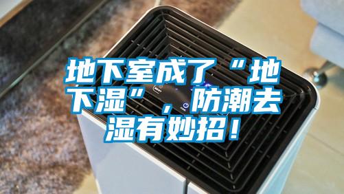 地下室成了“地下濕”，防潮去濕有妙招！