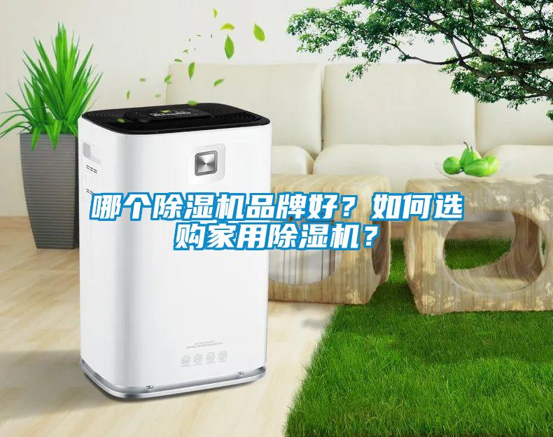 哪個除濕機品牌好？如何選購家用除濕機？