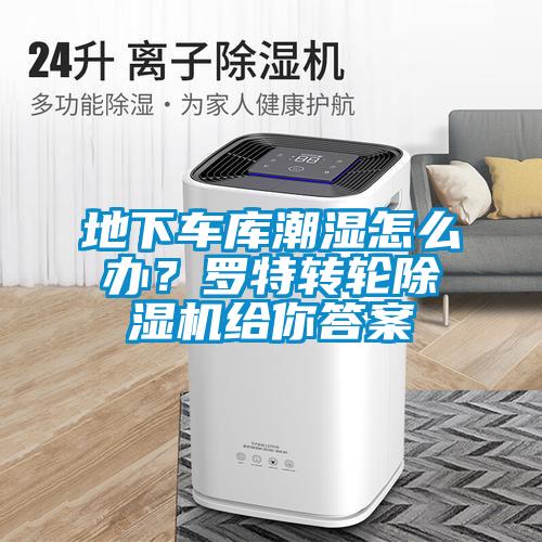 地下車(chē)庫(kù)潮濕怎么辦？羅特轉(zhuǎn)輪除濕機(jī)給你答案