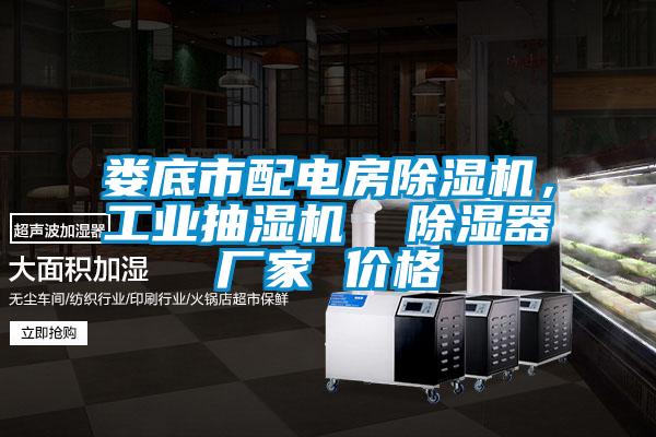 婁底市配電房除濕機，工業(yè)抽濕機  除濕器廠家 價格
