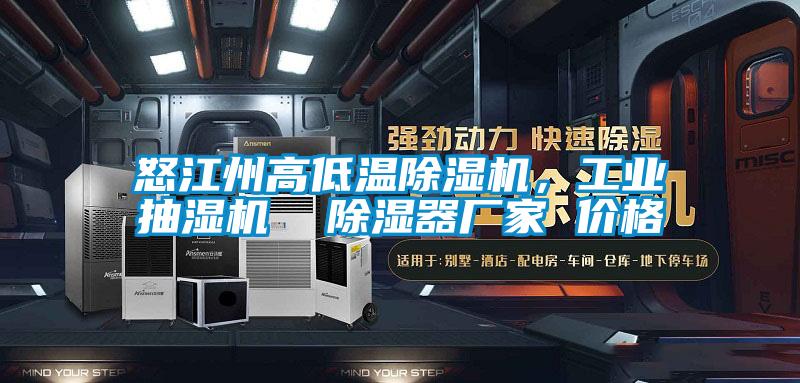 怒江州高低溫除濕機(jī)，工業(yè)抽濕機(jī)  除濕器廠家 價(jià)格