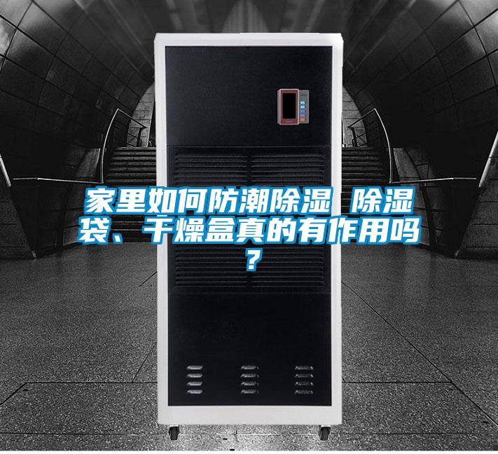 家里如何防潮除濕 除濕袋、干燥盒真的有作用嗎？
